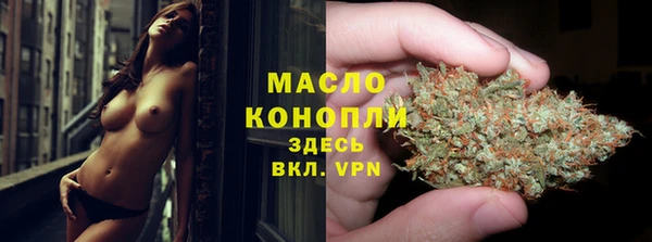 спиды Бородино