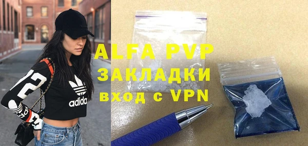 прущие грибы Рославль