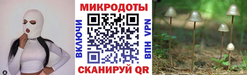 Галлюциногенные грибы Psilocybine cubensis  Грязи 